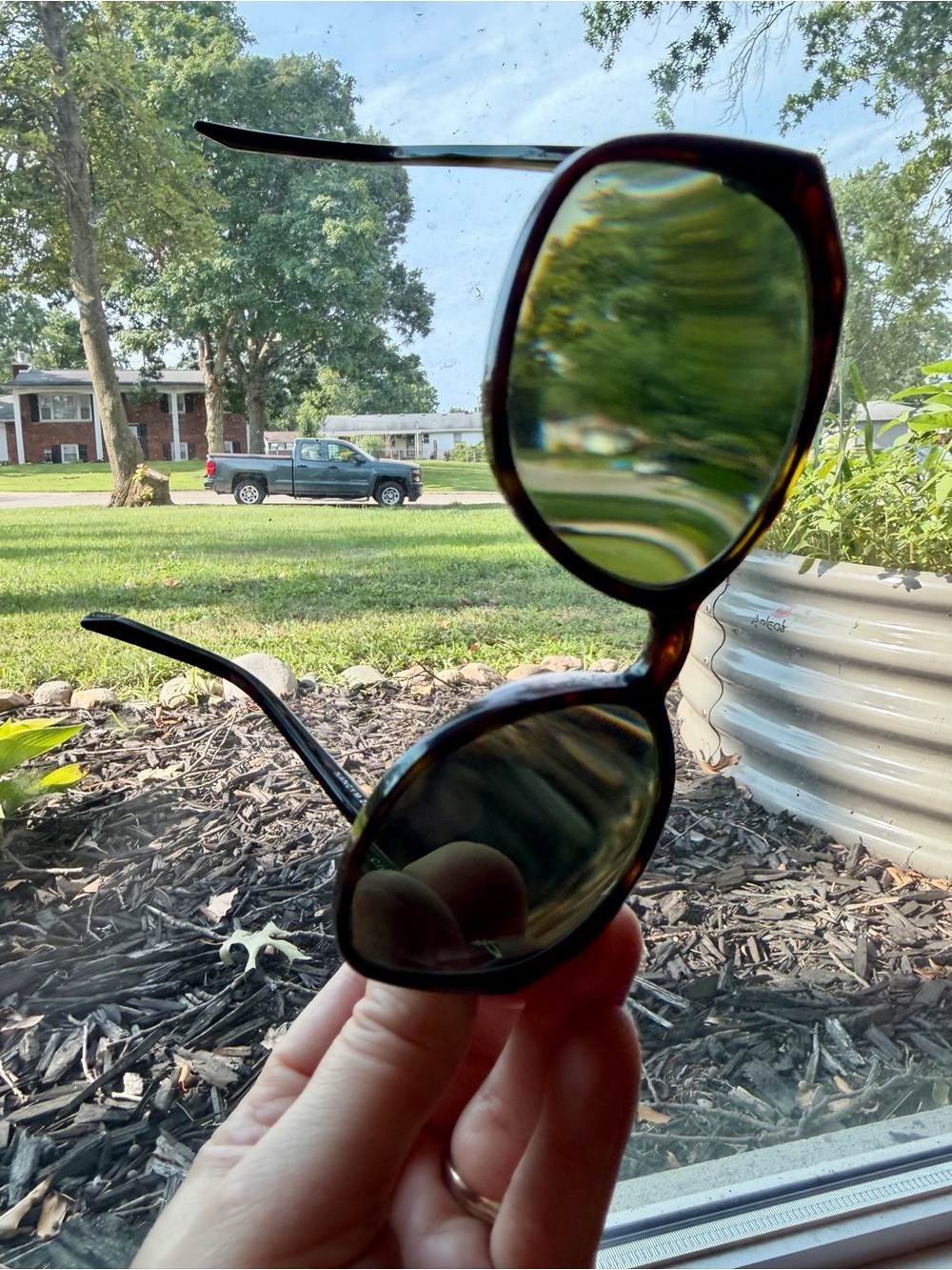 Warby Parker Tortoise Frame Sunglasses with Green Lenses